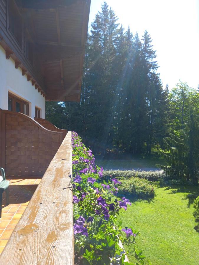 Landhaus Wieser Ramsau am Dachstein Exterior photo