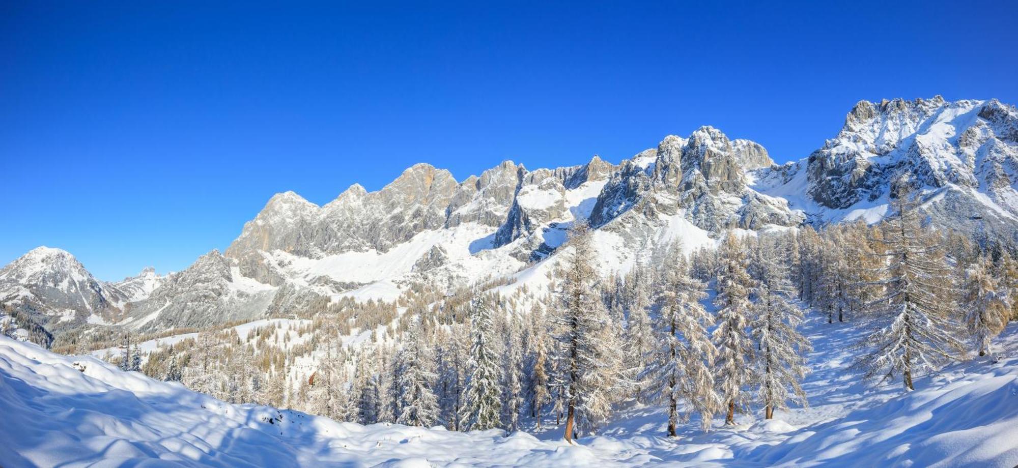 Landhaus Wieser Ramsau am Dachstein Exterior photo